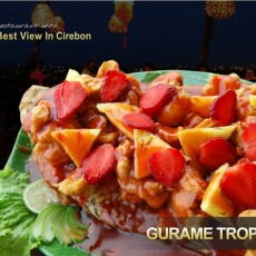LEZATNYA GURAME TROPICANA KLAPA MANIS LEZATNYA GURAME TROPICANA KLAPA MANIS